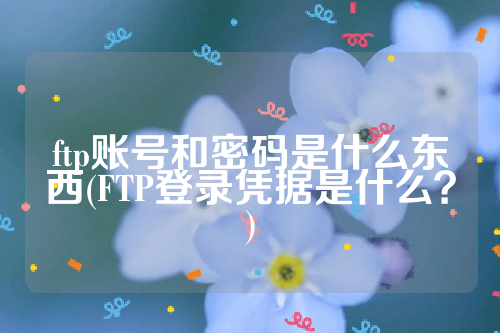 ftp账号和密码是什么东西(FTP登录凭据是什么？)