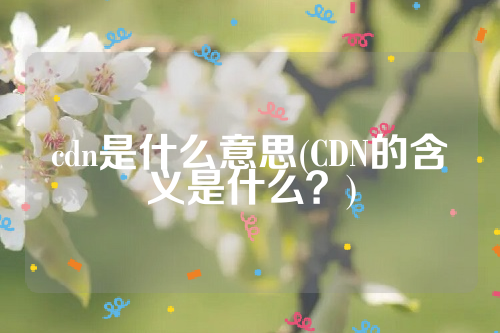 cdn是什么意思(CDN的含义是什么？)