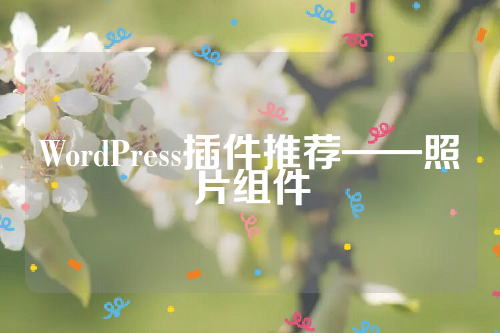 WordPress插件推荐——照片组件