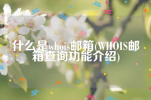 什么是whois邮箱(WHOIS邮箱查询功能介绍)