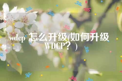 wdcp 怎么升级(如何升级 WDCP？)