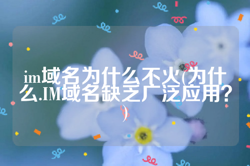 im域名为什么不火(为什么.IM域名缺乏广泛应用？)