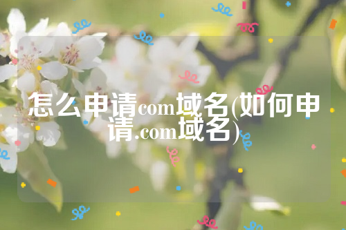 怎么申请com域名(如何申请.com域名)