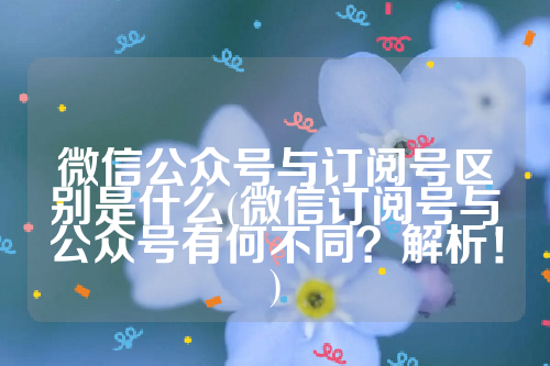 微信公众号与订阅号区别是什么(微信订阅号与公众号有何不同？解析！)