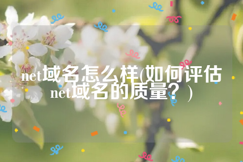 net域名怎么样(如何评估net域名的质量？)