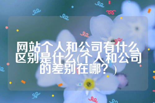 网站个人和公司有什么区别是什么(个人和公司的差别在哪？)