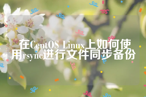  在CentOS Linux上如何使用rsync进行文件同步备份