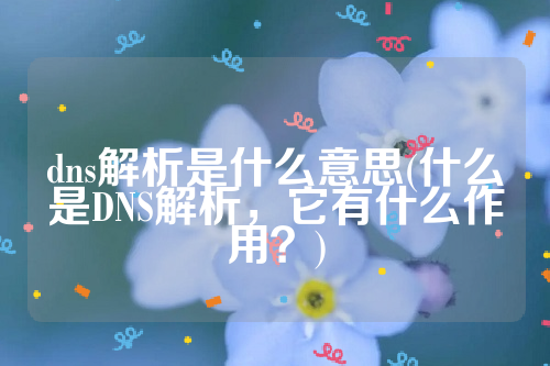 dns解析是什么意思(什么是DNS解析，它有什么作用？)