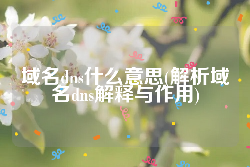 域名dns什么意思(解析域名dns解释与作用)