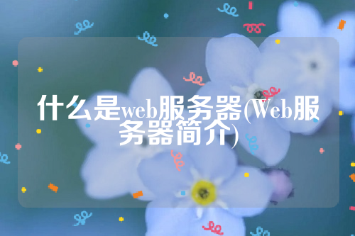 什么是web服务器(Web服务器简介)