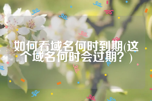 如何看域名何时到期(这个域名何时会过期？)