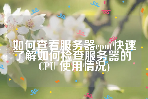 如何查看服务器cpu(快速了解如何检查服务器的 CPU 使用情况)