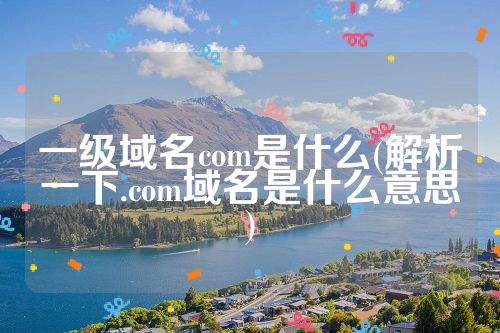 一级域名com是什么(解析一下.com域名是什么意思)