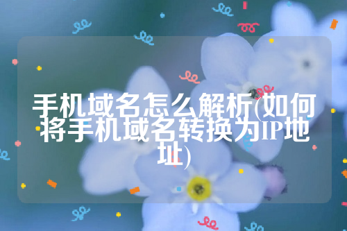 手机域名怎么解析(如何将手机域名转换为IP地址)