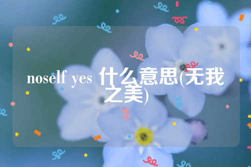 noself yes 什么意思(无我之美)