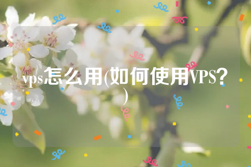 vps怎么用(如何使用VPS？)