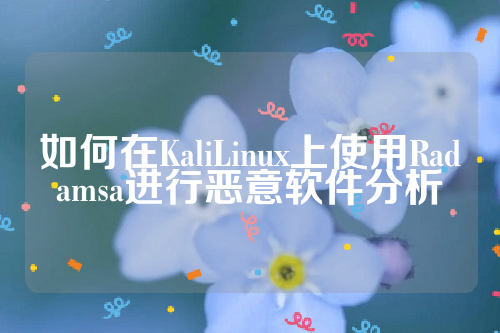 如何在KaliLinux上使用Radamsa进行恶意软件分析