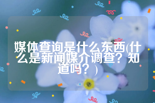 媒体查询是什么东西(什么是新闻媒介调查？知道吗？)