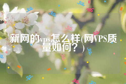 新网的vps怎么样(网VPS质量如何？)