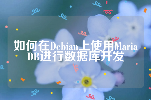 如何在Debian上使用MariaDB进行数据库开发