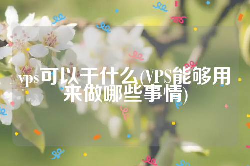 vps可以干什么(VPS能够用来做哪些事情)