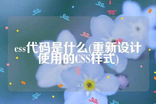 css代码是什么(重新设计使用的CSS样式)