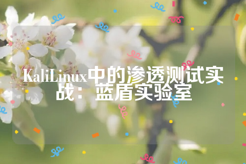 KaliLinux中的渗透测试实战：蓝盾实验室