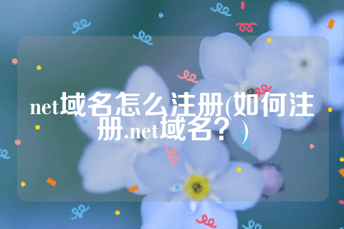 net域名怎么注册(如何注册.net域名？)