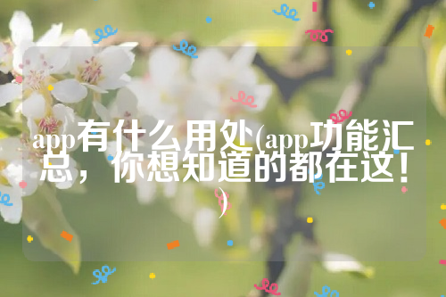 app有什么用处(app功能汇总，你想知道的都在这！)