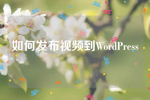 如何发布视频到WordPress