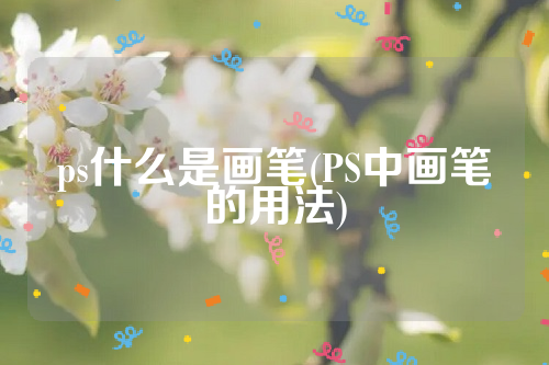 ps什么是画笔(PS中画笔的用法)