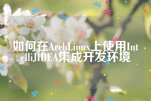 如何在ArchLinux上使用IntelliJIDEA集成开发环境