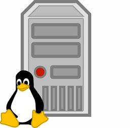 ArchLinux的计算机网络